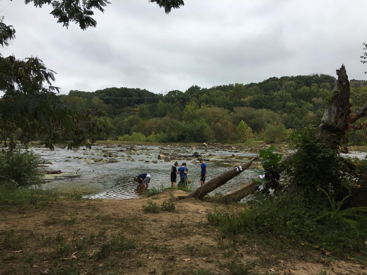 A.P. Environmental students went down to the Rappahannock River and spent the day learning and studying the beauties around them.