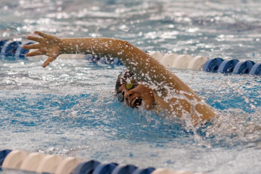 Waisanen (19) swimming 