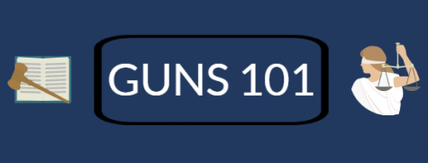 Guns 101: All You Need To Know