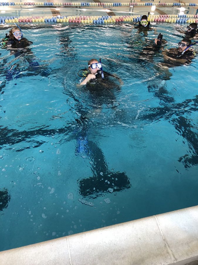 Elizabeth Bodolay practices scuba diving at the YMCA.