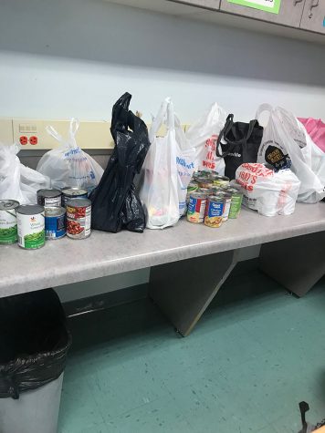 Leo Club Canned Food Collection