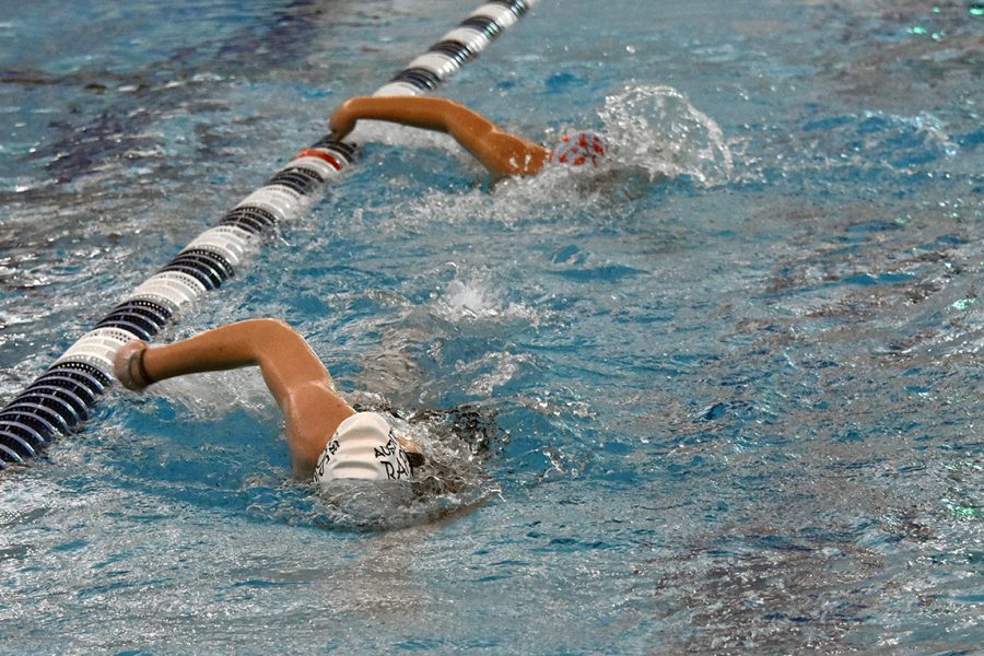 Colonial Forge Swim Team practice photo taken by editor Shelby Jaunal