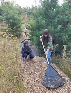 Environmental club members lay down tarp and mulch on the nature trail behind the tennis courts.