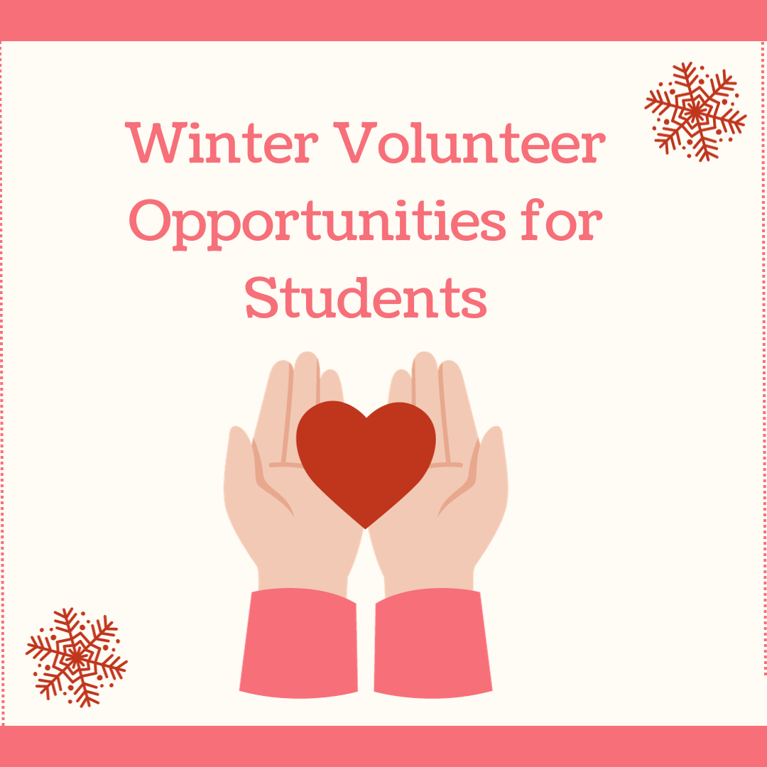 Winter Volunteer Opportunities for Students